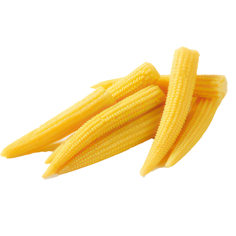 Babycorn