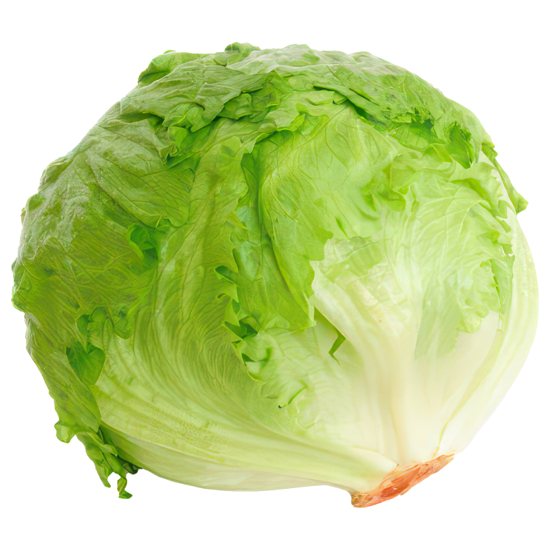 Cabbage