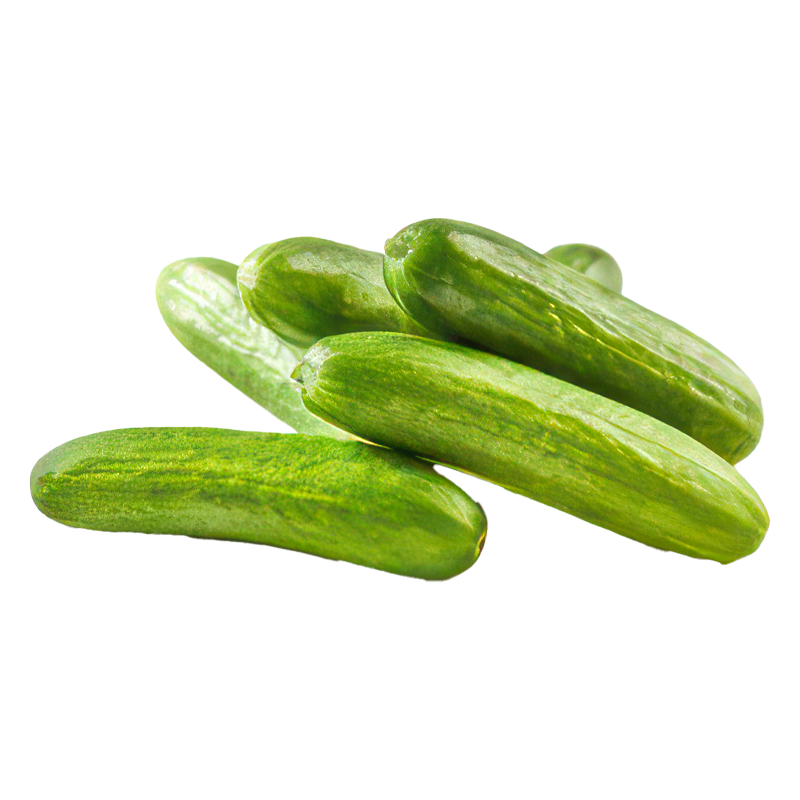 Cucumber