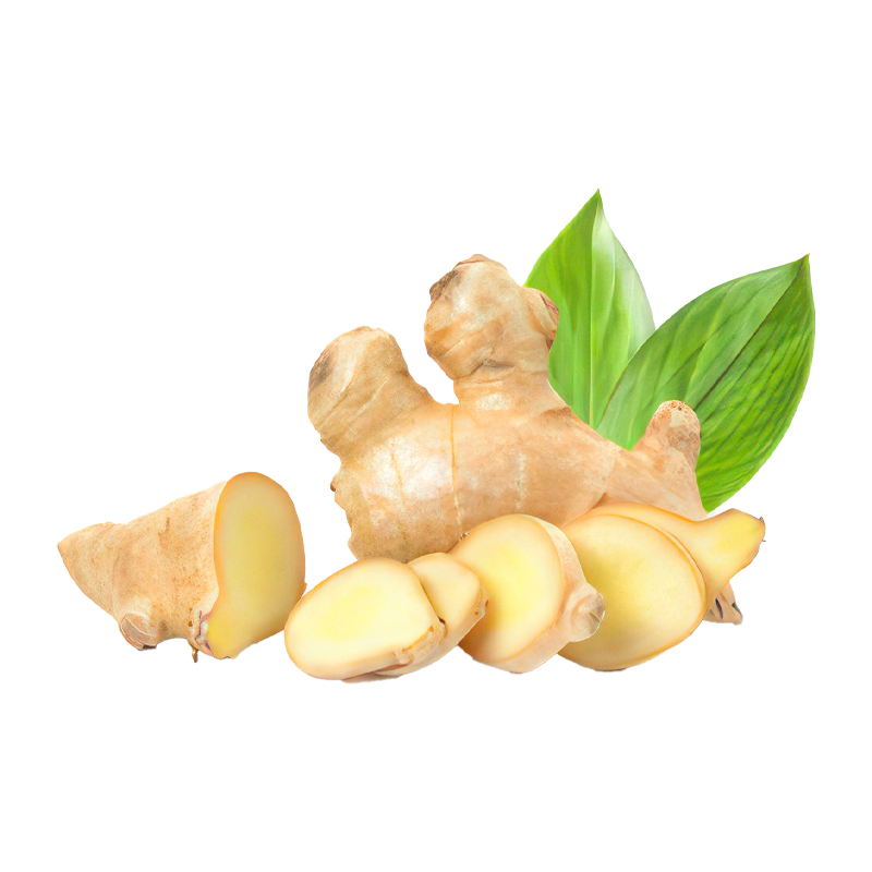 Ginger