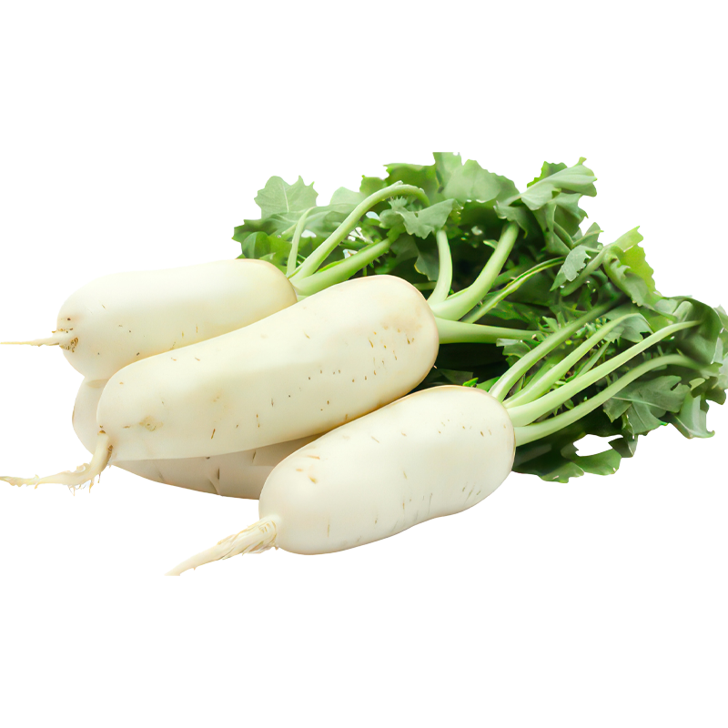 Radish