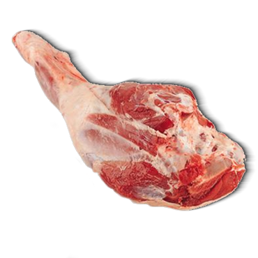  MUTTON LEG CHUMP