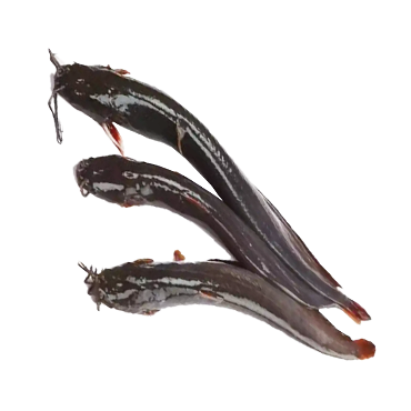 SHING CL (BLK) (400 GRAMS*15 PKT)