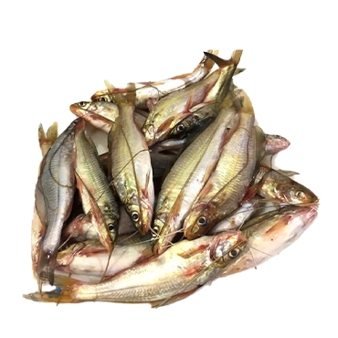 TENGRA 2KG*5 BAG
