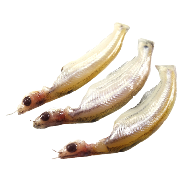 BATASHI