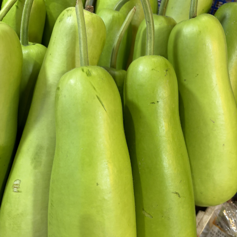 Bottle Gourd