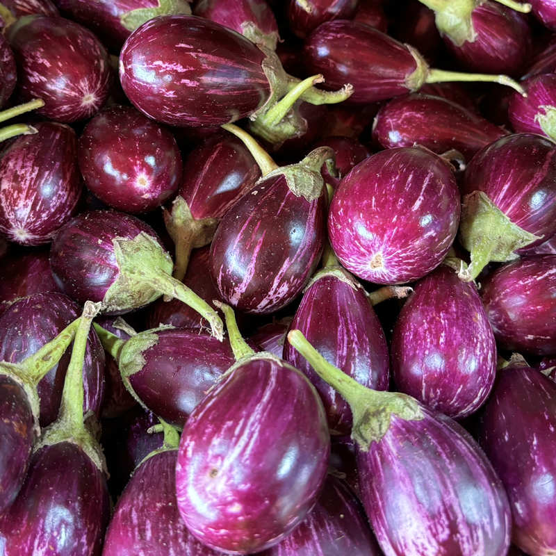 Brinjal
