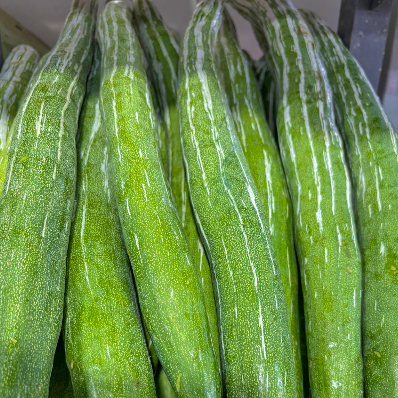 Snake Gourd