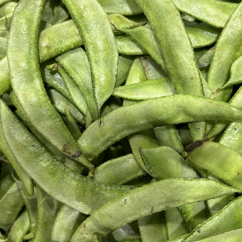 field beans