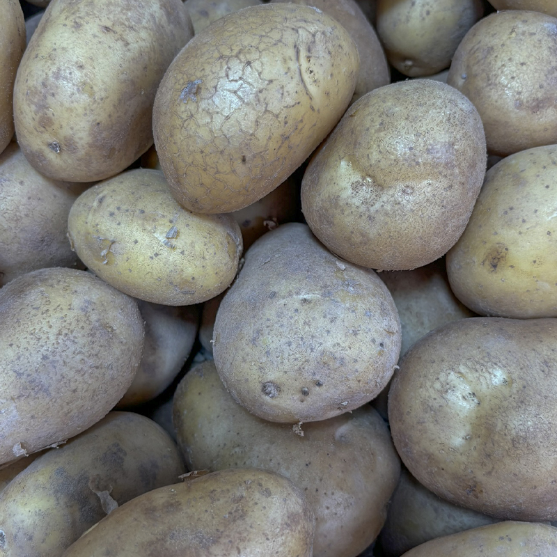 Potato