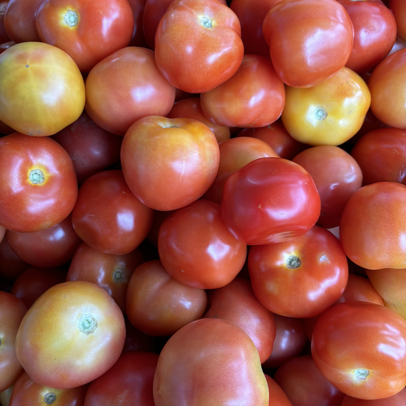 Tomato